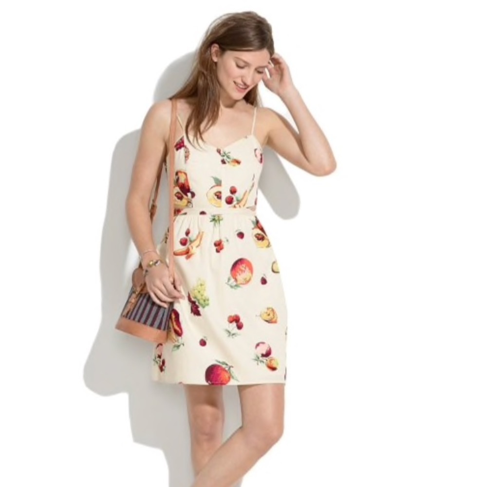 Madewell Printed Dress